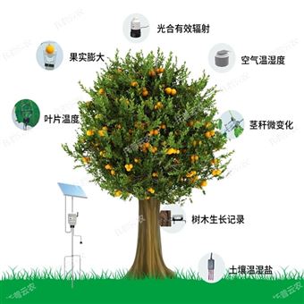 TP-ZWSL系列植物生理生态监测系统